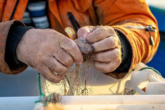 Sesja-lifestyle-naturalna-rodzinna-ciążowa-plenerowa-fotograf-kielce-katarzyna-jas (6)